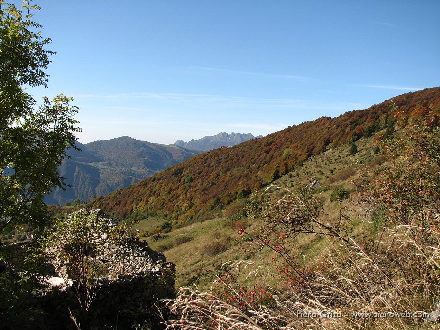 gherardi-lu 005.jpg - Macchie di caldi colori autunnali dei faggi